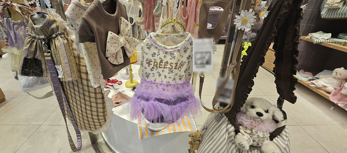 “내 옷보다 반려견 옷 더 자주 사요”…불황에도 애완용품숍 늘었다