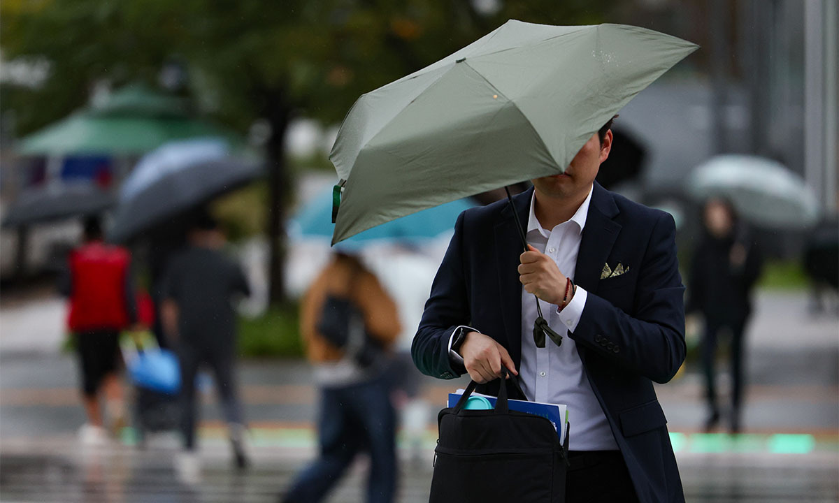 사진 이미지