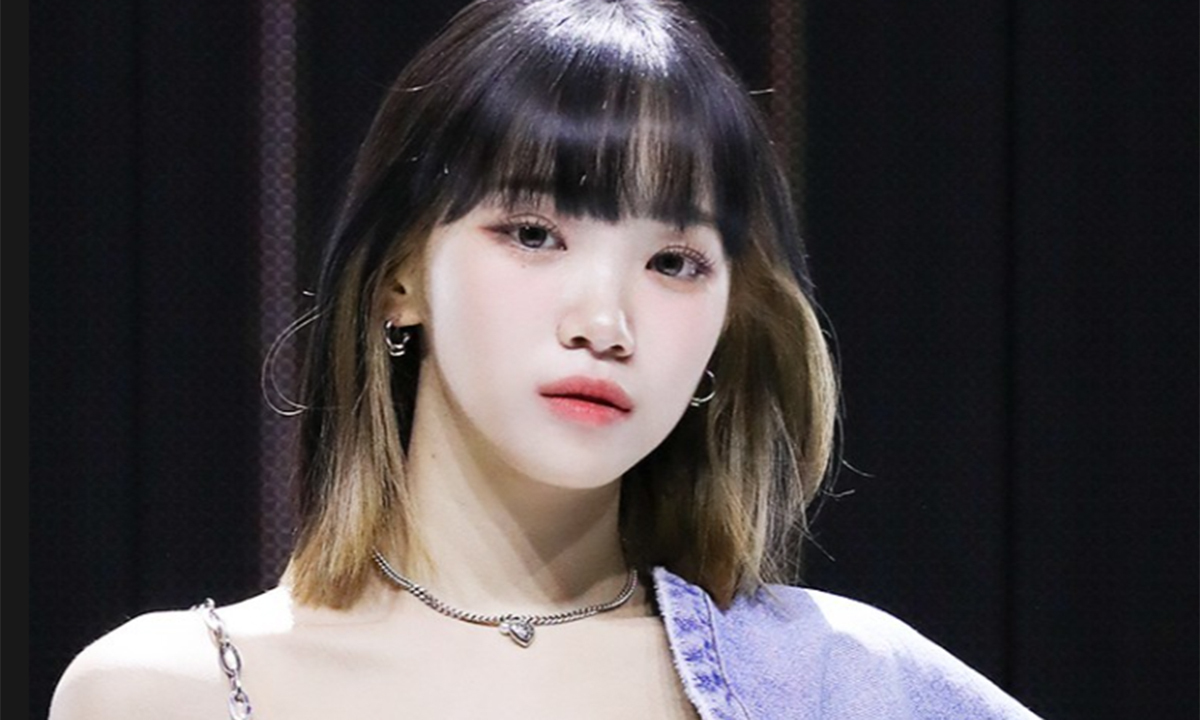 사진 이미지