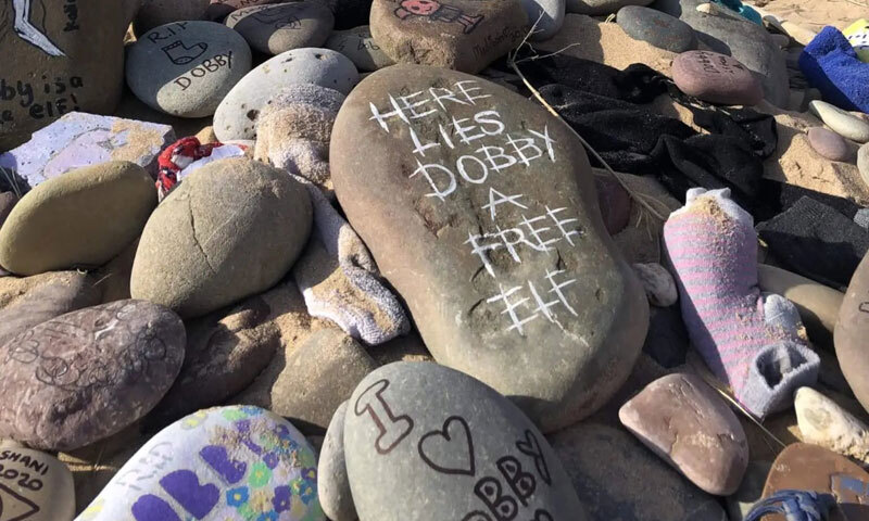 사진 이미지
